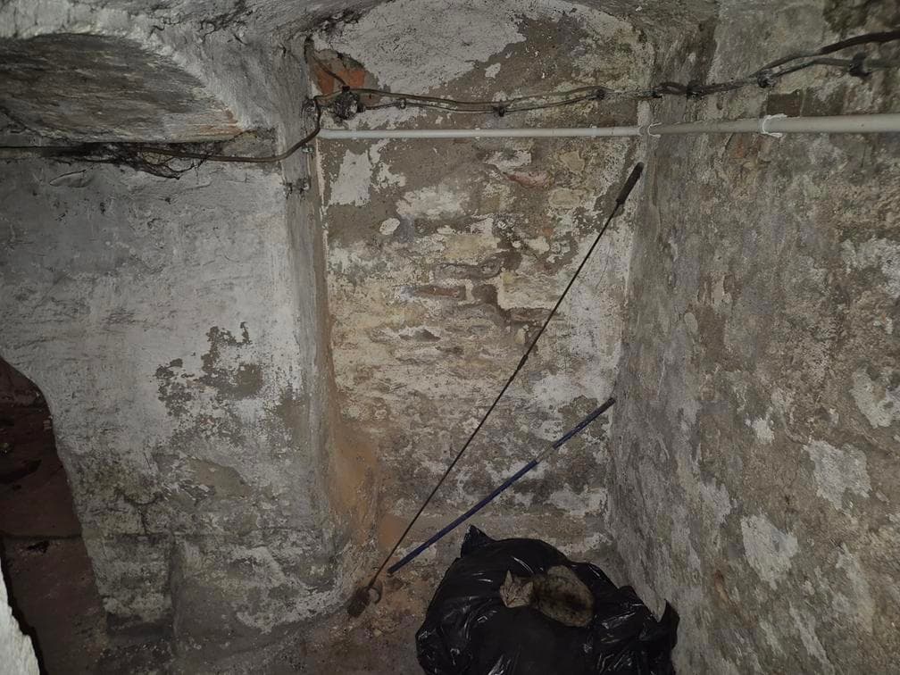 Zarzyń 7a, 69-200 Sulęcin – zdjęcie 116 z 123