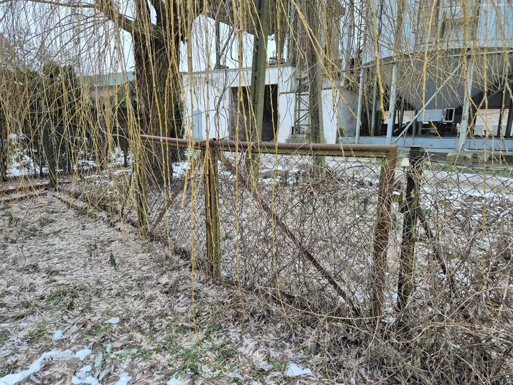 Zarzyń 7a, 69-200 Sulęcin – zdjęcie 17 z 123