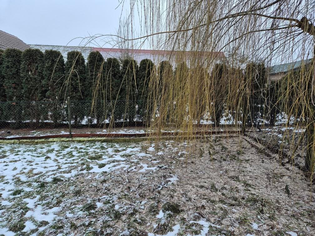 Zarzyń 7a, 69-200 Sulęcin – zdjęcie 18 z 123
