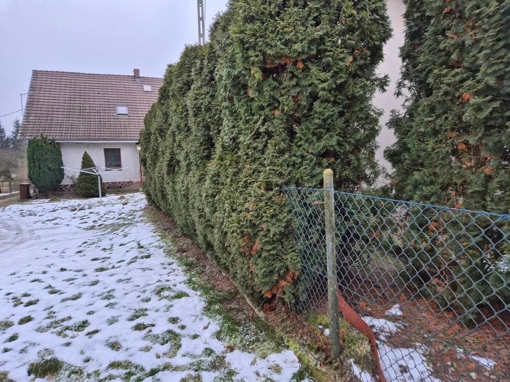Zarzyń 7a, 69-200 Sulęcin – zdjęcie 23 z 123