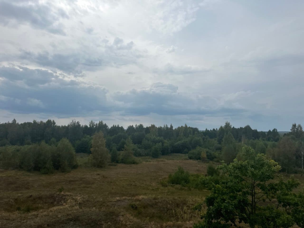 działka nr 51/1 o pow. 0,06ha, 19-104 Trzcianne, Budy - Krasne - Małe – zdjęcie 6 z 6