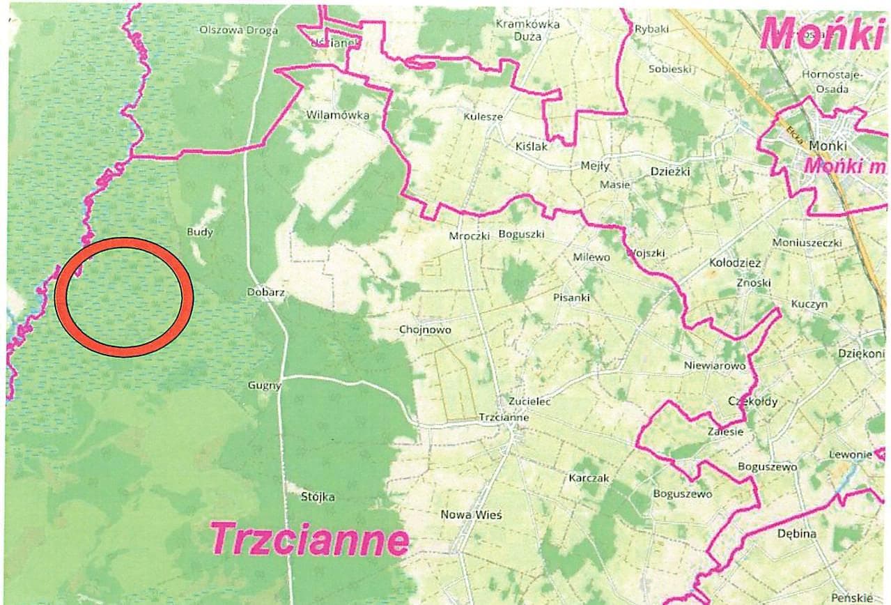 działka nr 58/2 o pow. 0,71ha, 19-104 Trzcianne, Budy - Krasne - Małe