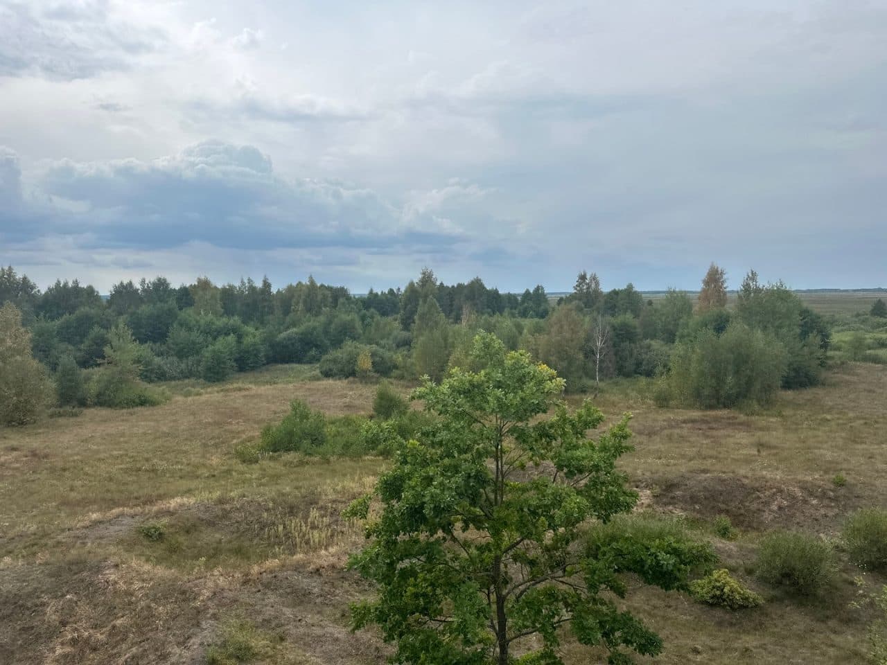 działka nr 58/2 o pow. 0,71ha, 19-104 Trzcianne, Budy - Krasne - Małe – zdjęcie 4 z 6
