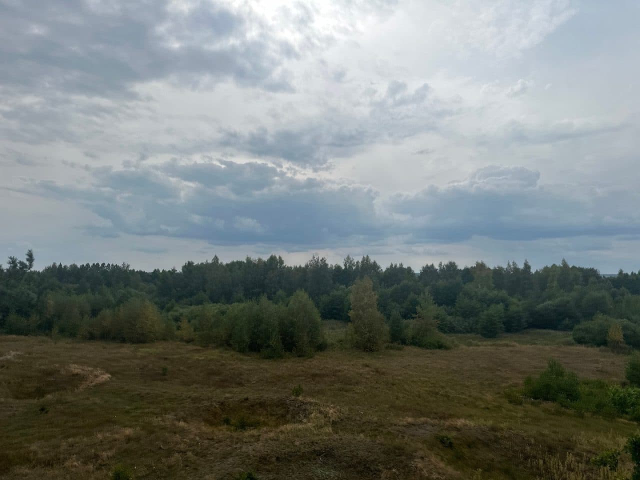 działka nr 58/2 o pow. 0,71ha, 19-104 Trzcianne, Budy - Krasne - Małe – zdjęcie 5 z 6