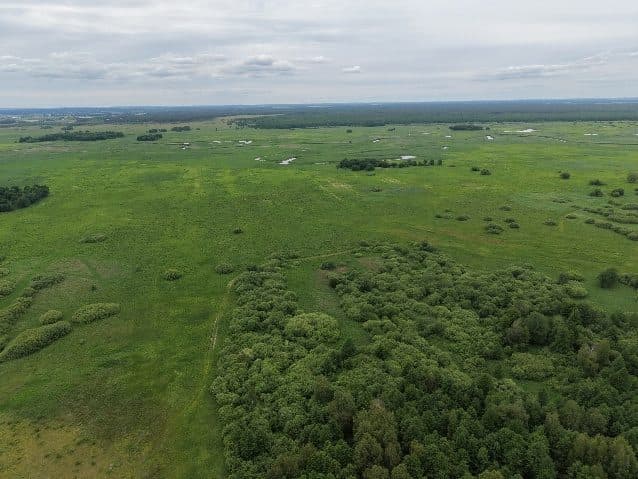 niezabudowana działa nr 201 o pow. 0,0803ha, 19-110 Goniądz, Olszowa Droga – zdjęcie 3 z 6