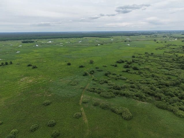 niezabudowana działa nr 29 o pow. 0,1923ha, 19-110 Goniądz, Olszowa Droga – zdjęcie 4 z 6