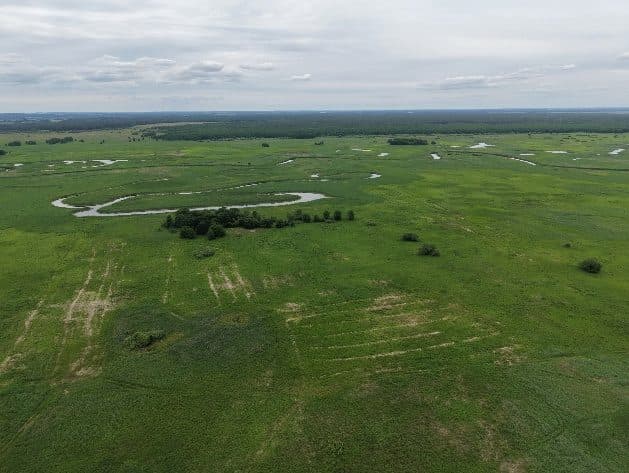 niezabudowana działa nr 409 o pow. 0,0521ha, 19-110 Goniądz, Olszowa Droga – zdjęcie 5 z 6