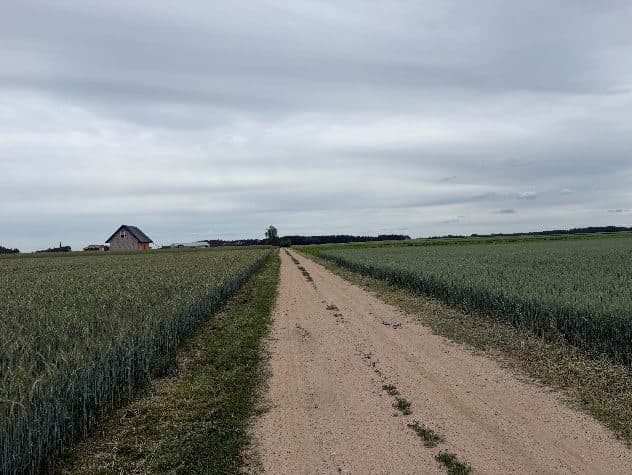 niezabudowana działa nr 139/2 o pow. 1,53ha, 19-104 Trzcianne, Milewo – zdjęcie 4 z 4