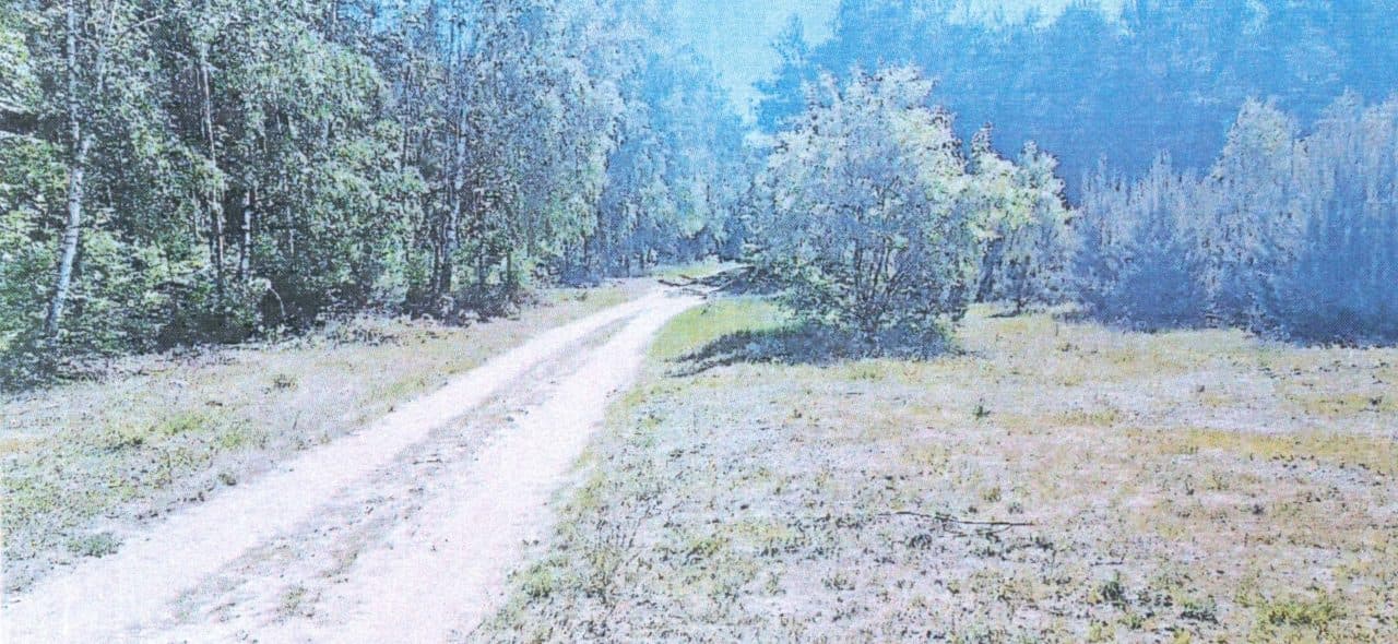 nieruchoimość – zdjęcie 3 z 3