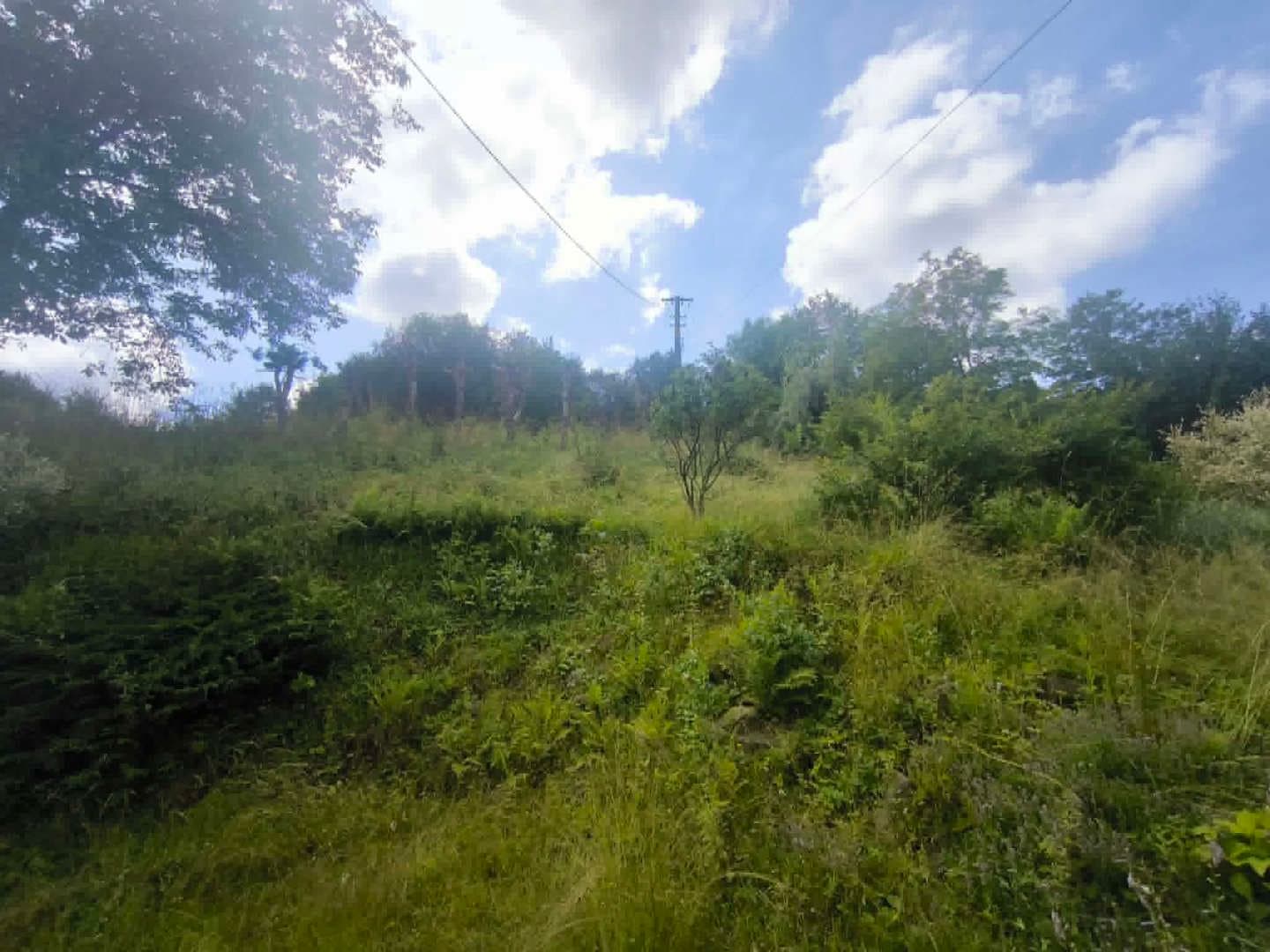 Działka ew. nr 831/1 o pow. 1,0720 ha, zabudowana budynkiem mieszkalnym o pow. użytkowej 66,03 m2 w miejscowości Gaboń – zdjęcie 3 z 4