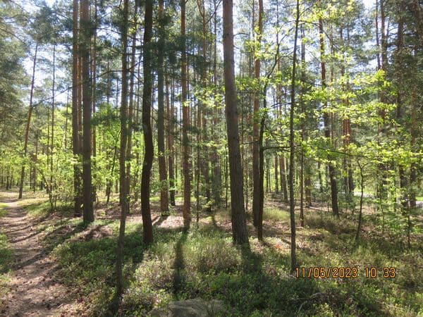 Działka niezabudowana – zdjęcie 3 z 4