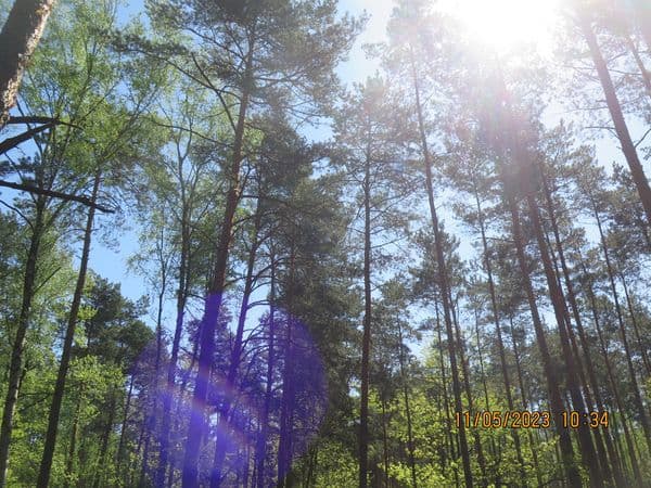 Działka niezabudowana – zdjęcie 4 z 4