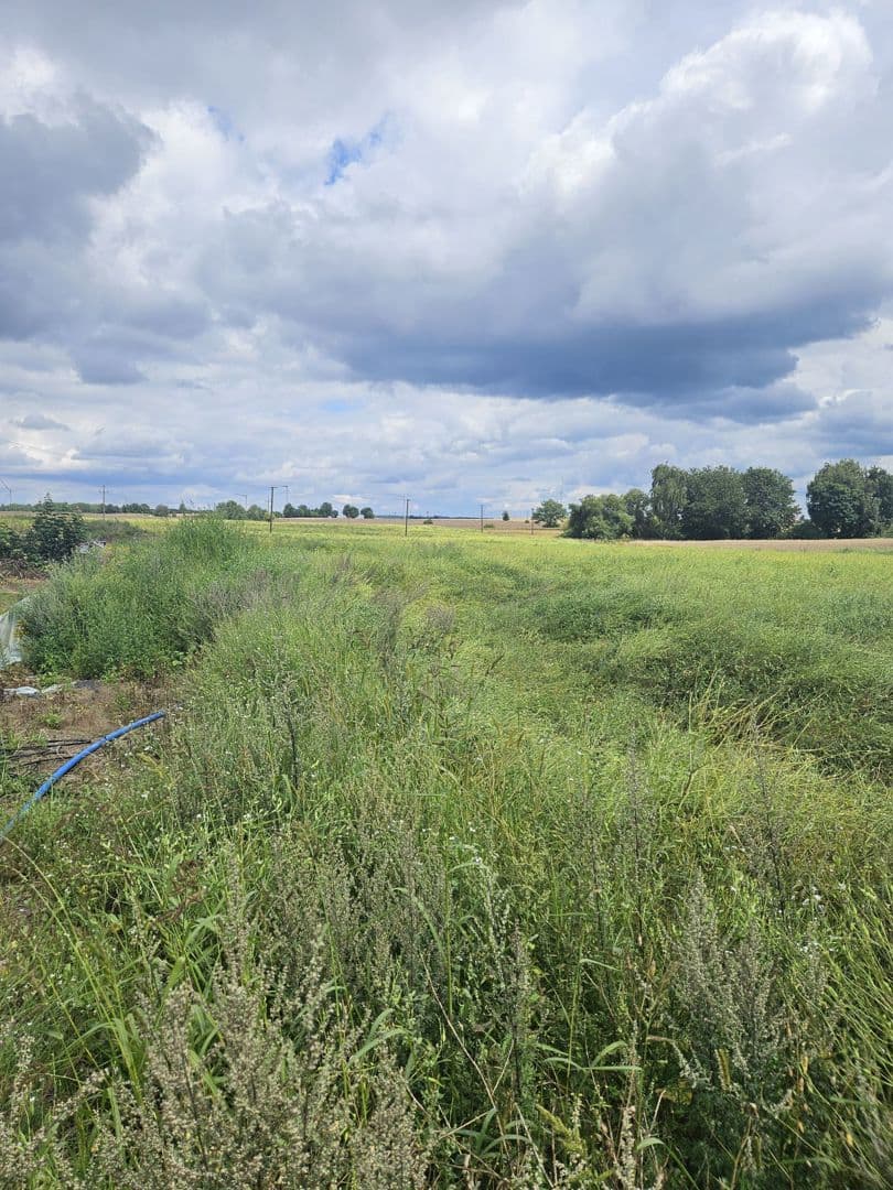 NIERUCHOMOŚĆ GRUNTOWA – zdjęcie 5 z 6