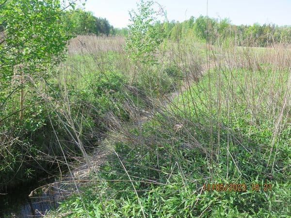 Działka niezabudowana – zdjęcie 2 z 3