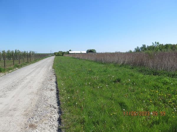 Działka niezabudowana – zdjęcie 3 z 3