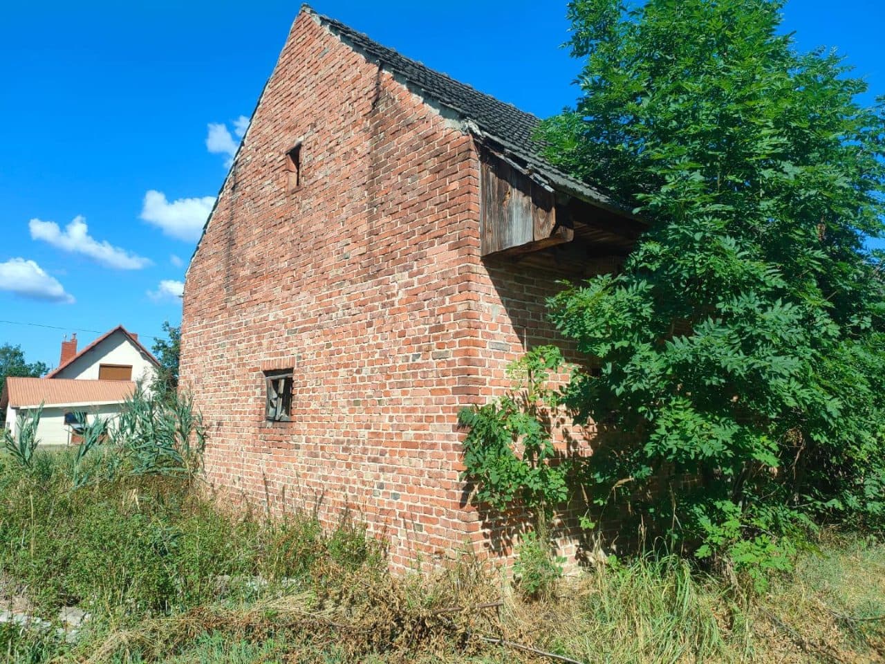 grunty – zdjęcie 5 z 5