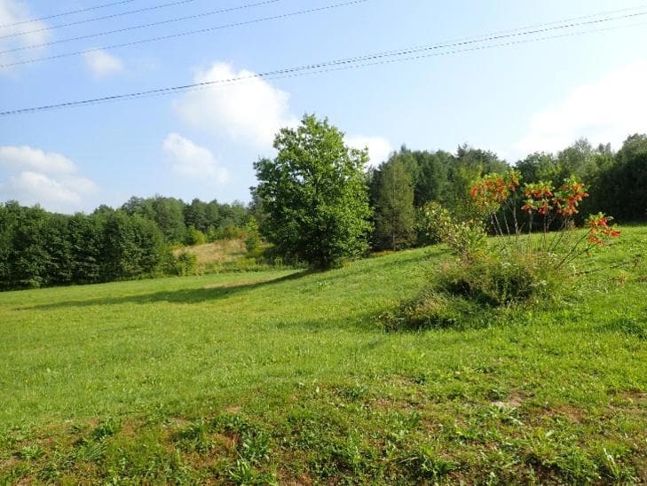 Działka ew. nr 2358/1 – zdjęcie 3 z 4