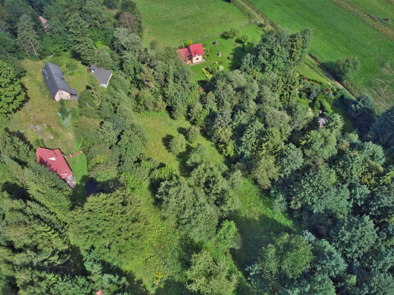 Udział 1/2 w działkach - Krzyżowa – zdjęcie 8 z 8
