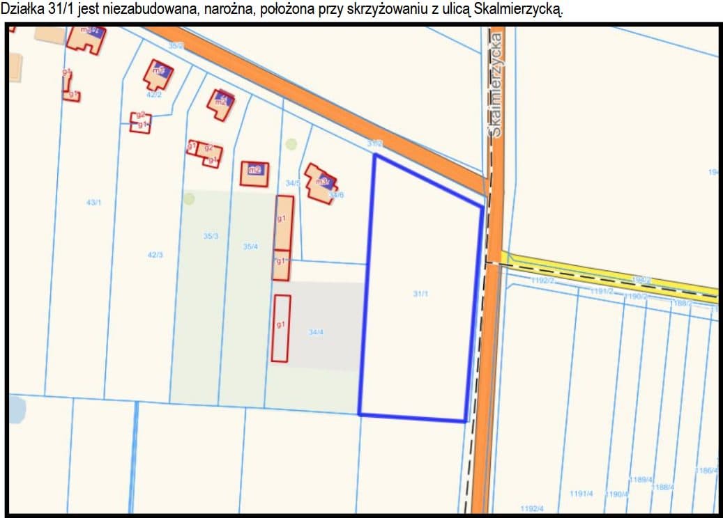 Wydzielona część nieruchomości gruntowej KZ1W/00009749/3 - działka numer 31/1 – zdjęcie 2 z 2