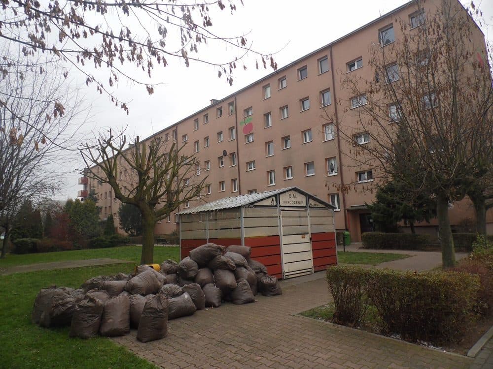 udział 1/2 – zdjęcie 3 z 10