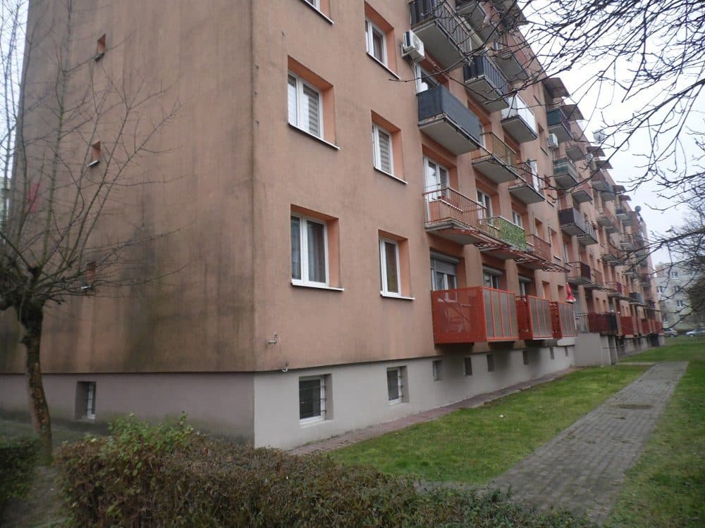 udział 1/2 – zdjęcie 4 z 10