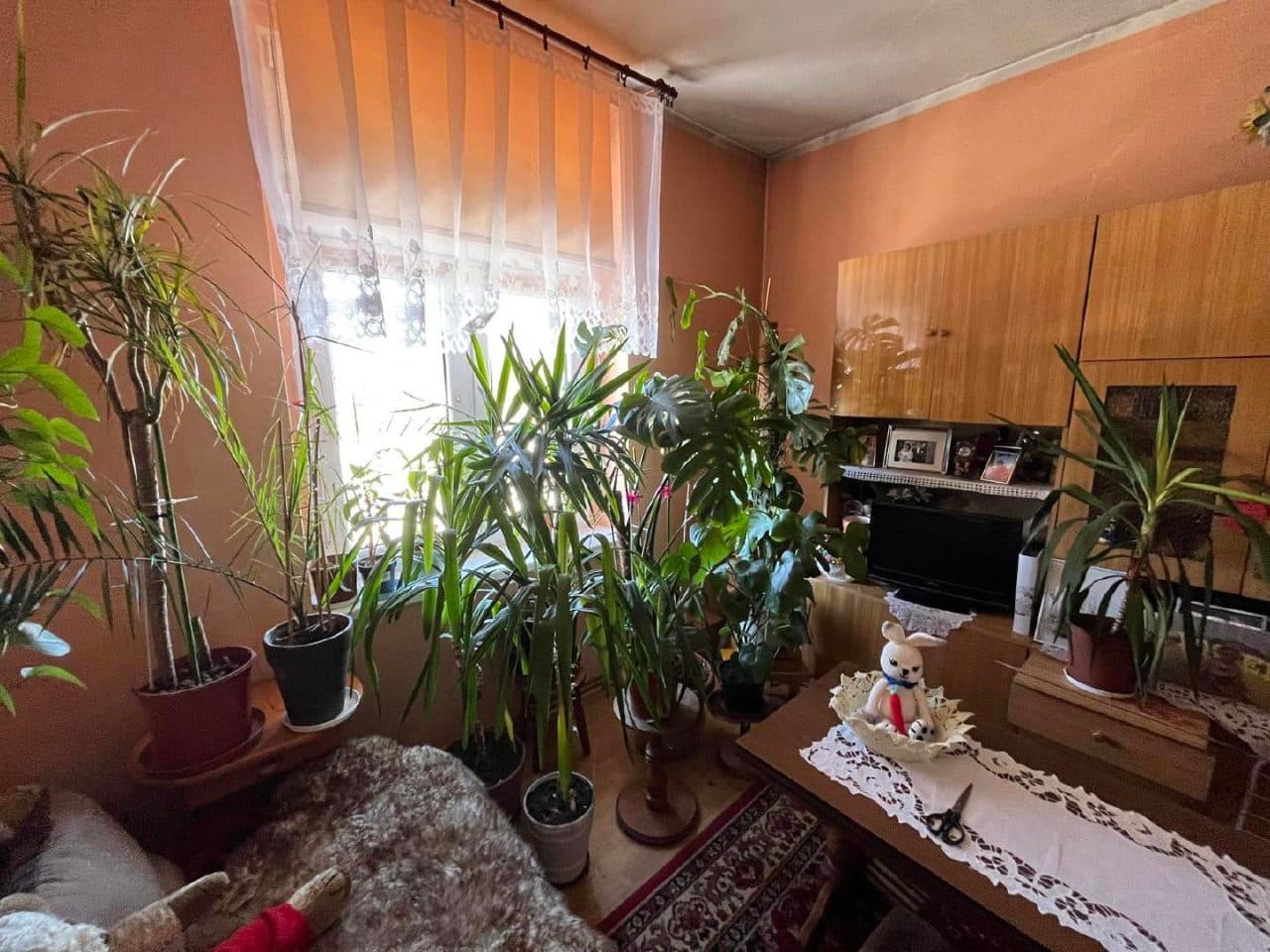 mieszkanie – zdjęcie 10 z 12