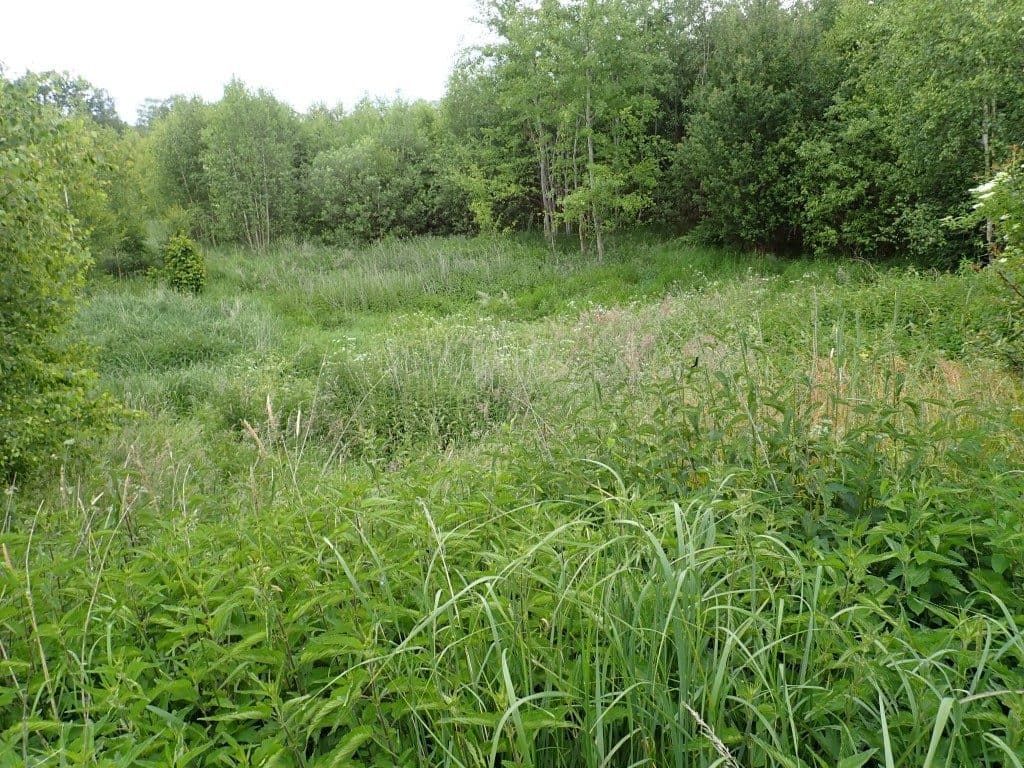 Działka niezabudowana nr 469/7 o pow. 5,9533 ha w Tątławkach, gm. Morąg