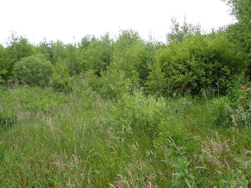 Działka niezabudowana nr 469/7 o pow. 5,9533 ha w Tątławkach, gm. Morąg – zdjęcie 2 z 9