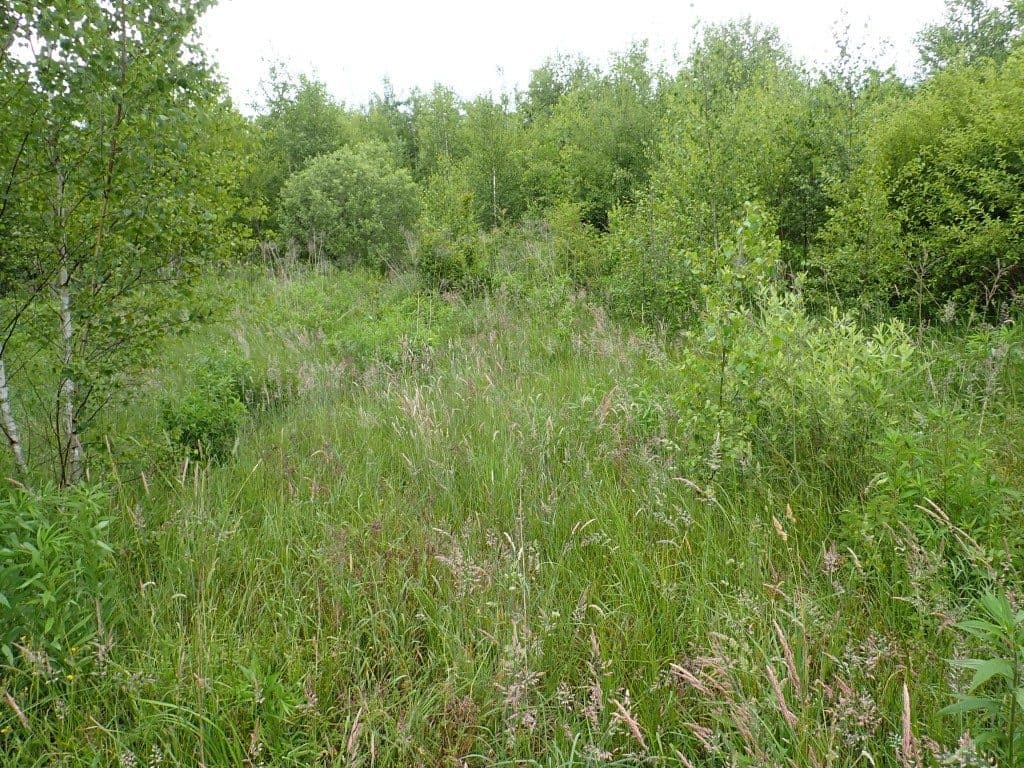 Działka niezabudowana nr 469/7 o pow. 5,9533 ha w Tątławkach, gm. Morąg – zdjęcie 3 z 9