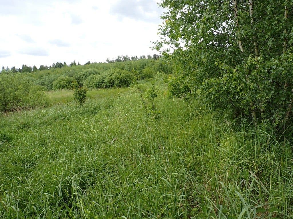 Działka niezabudowana nr 469/7 o pow. 5,9533 ha w Tątławkach, gm. Morąg – zdjęcie 4 z 9