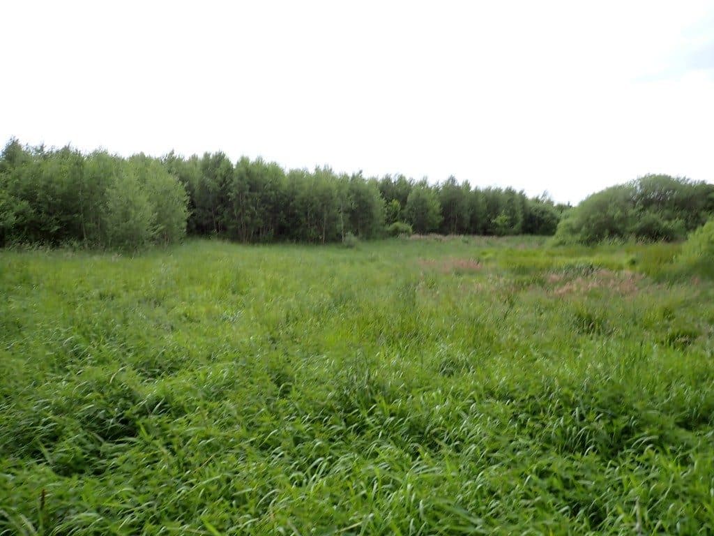 Działka niezabudowana nr 469/7 o pow. 5,9533 ha w Tątławkach, gm. Morąg – zdjęcie 9 z 9