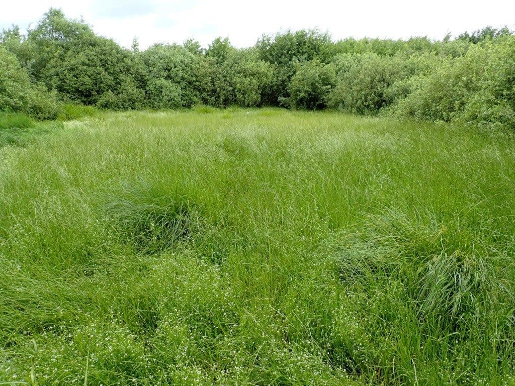 Działka niezabudowana nr 469/6 o pow. 6,2715 ha w Tątławkach, gm. Morąg - KWEL2O/00037244/0