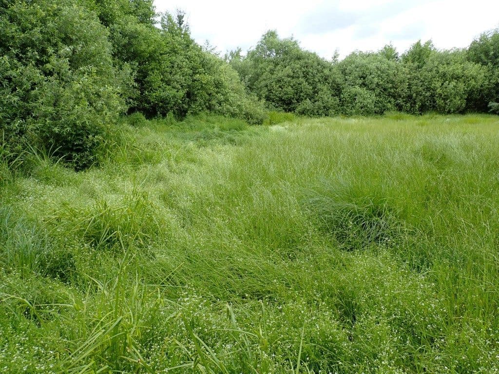 Działka niezabudowana nr 469/6 o pow. 6,2715 ha w Tątławkach, gm. Morąg - KWEL2O/00037244/0 – zdjęcie 2 z 6