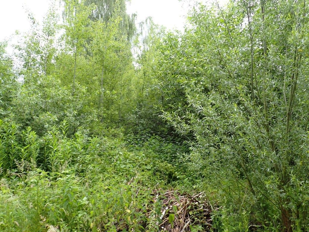 Działka niezabudowana nr 469/6 o pow. 6,2715 ha w Tątławkach, gm. Morąg - KWEL2O/00037244/0 – zdjęcie 3 z 6
