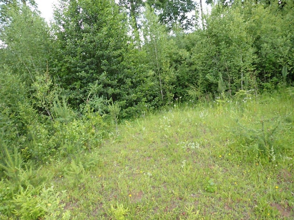Działka niezabudowana nr 469/6 o pow. 6,2715 ha w Tątławkach, gm. Morąg - KWEL2O/00037244/0 – zdjęcie 6 z 6