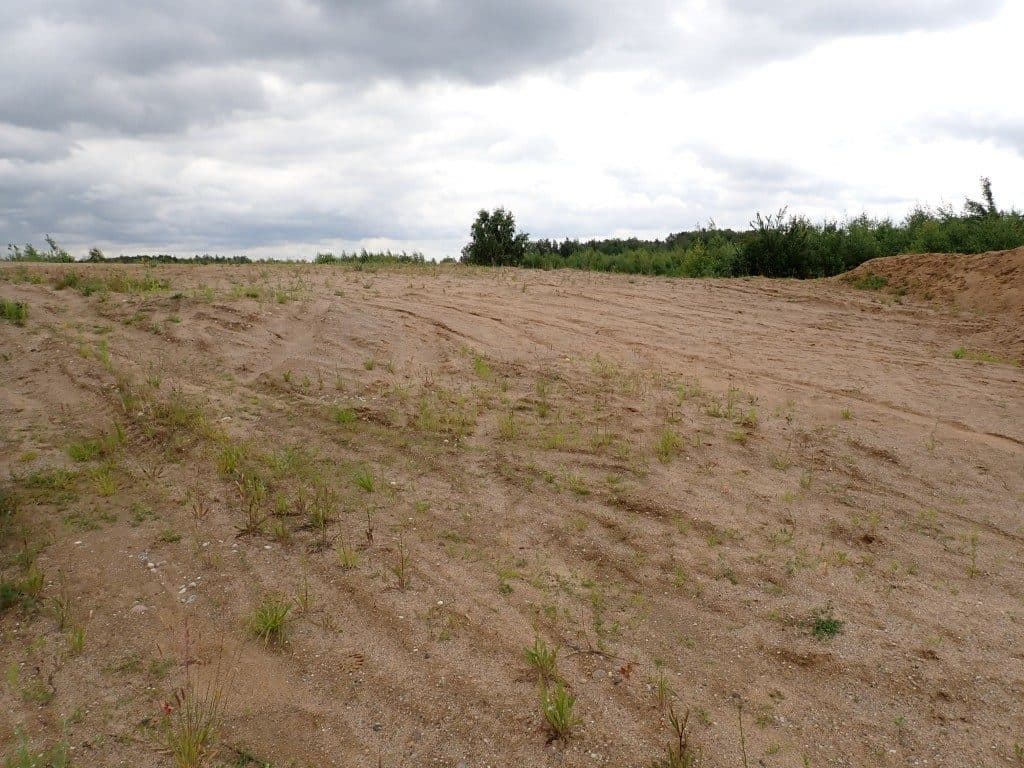 Działka niezabudowana nr 469/9 o pow. 22,39 ha ze złożami piasku i żwiru w Tątławkach, gm. Morąg - KWEL2O/00022222/2 – zdjęcie 10 z 16
