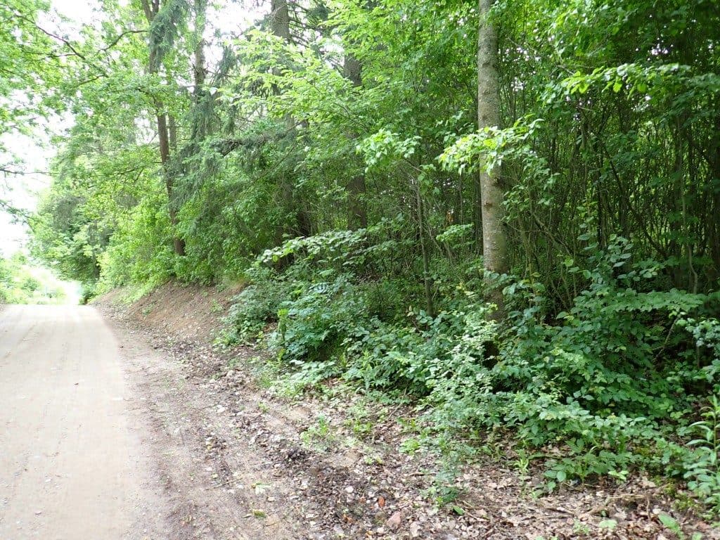 Działka niezabudowana nr 469/9 o pow. 22,39 ha ze złożami piasku i żwiru w Tątławkach, gm. Morąg - KWEL2O/00022222/2 – zdjęcie 11 z 16