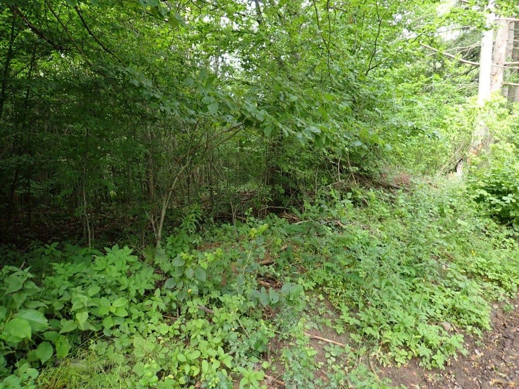 Działka niezabudowana nr 469/9 o pow. 22,39 ha ze złożami piasku i żwiru w Tątławkach, gm. Morąg - KWEL2O/00022222/2 – zdjęcie 13 z 16