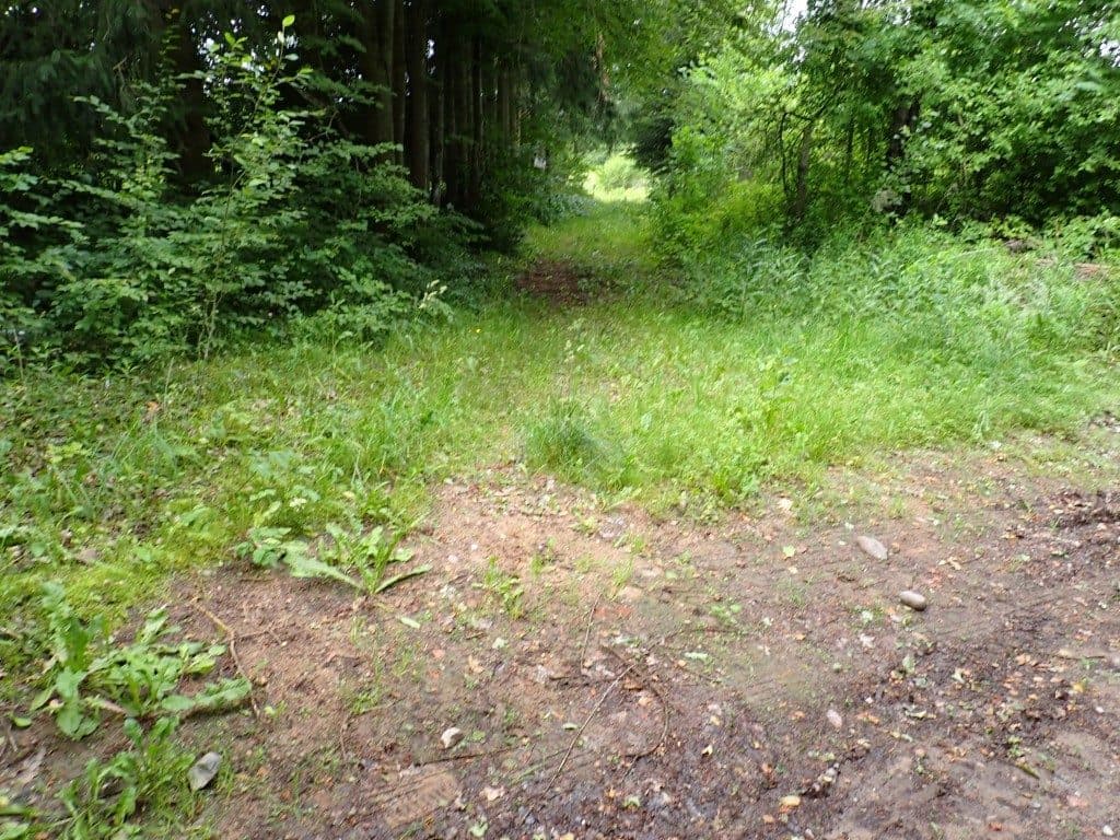 Działka niezabudowana nr 469/9 o pow. 22,39 ha ze złożami piasku i żwiru w Tątławkach, gm. Morąg - KWEL2O/00022222/2 – zdjęcie 14 z 16