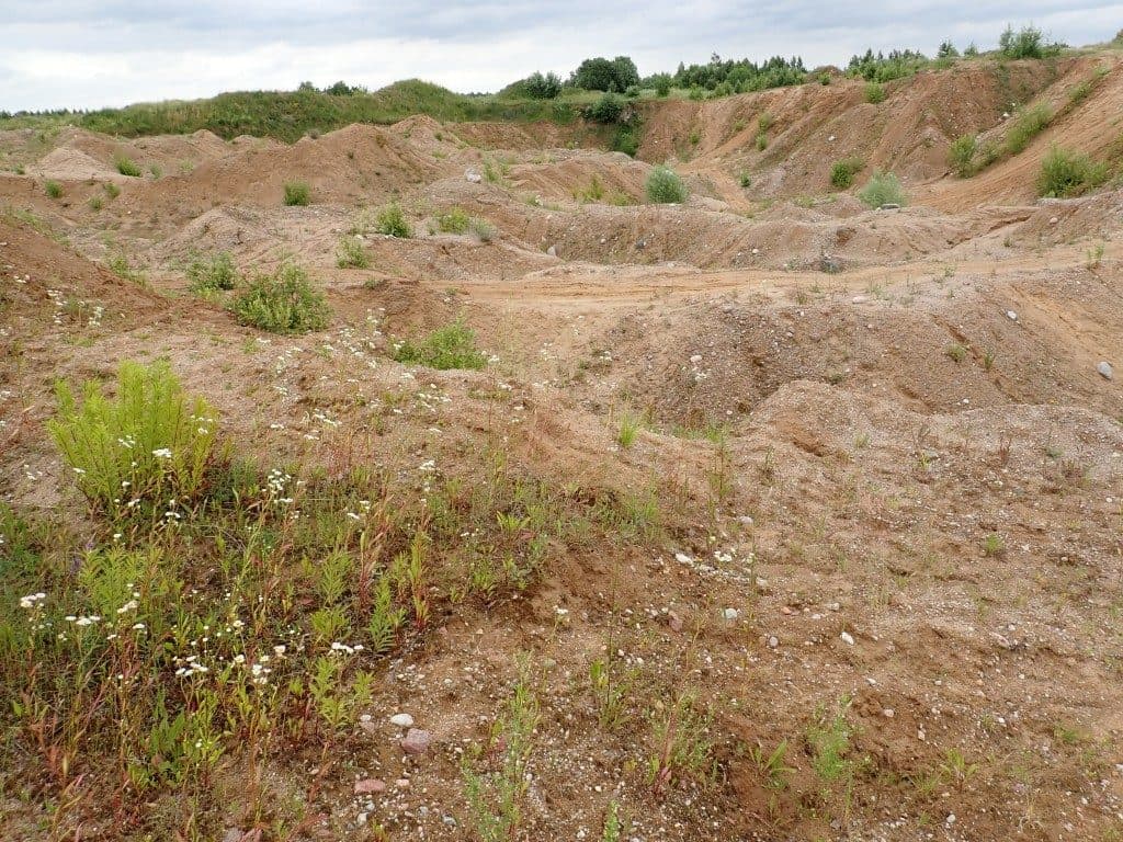 Działka niezabudowana nr 469/9 o pow. 22,39 ha ze złożami piasku i żwiru w Tątławkach, gm. Morąg - KWEL2O/00022222/2 – zdjęcie 3 z 16