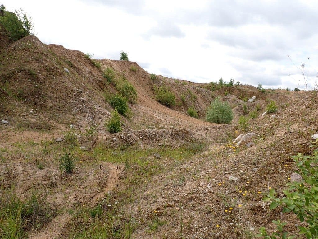 Działka niezabudowana nr 469/9 o pow. 22,39 ha ze złożami piasku i żwiru w Tątławkach, gm. Morąg - KWEL2O/00022222/2 – zdjęcie 4 z 16