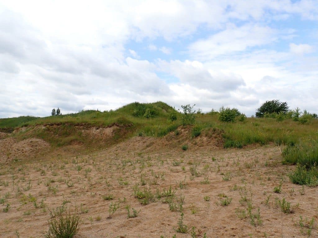 Działka niezabudowana nr 469/9 o pow. 22,39 ha ze złożami piasku i żwiru w Tątławkach, gm. Morąg - KWEL2O/00022222/2 – zdjęcie 5 z 16