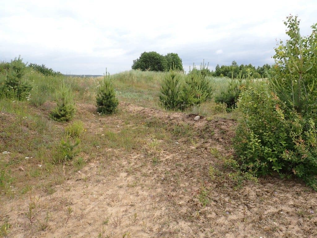 Działka niezabudowana nr 469/9 o pow. 22,39 ha ze złożami piasku i żwiru w Tątławkach, gm. Morąg - KWEL2O/00022222/2 – zdjęcie 6 z 16
