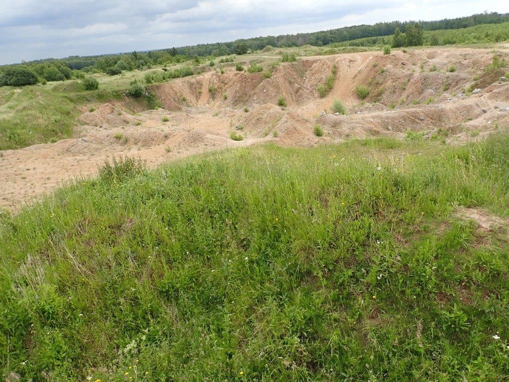 Działka niezabudowana nr 469/9 o pow. 22,39 ha ze złożami piasku i żwiru w Tątławkach, gm. Morąg - KWEL2O/00022222/2 – zdjęcie 7 z 16