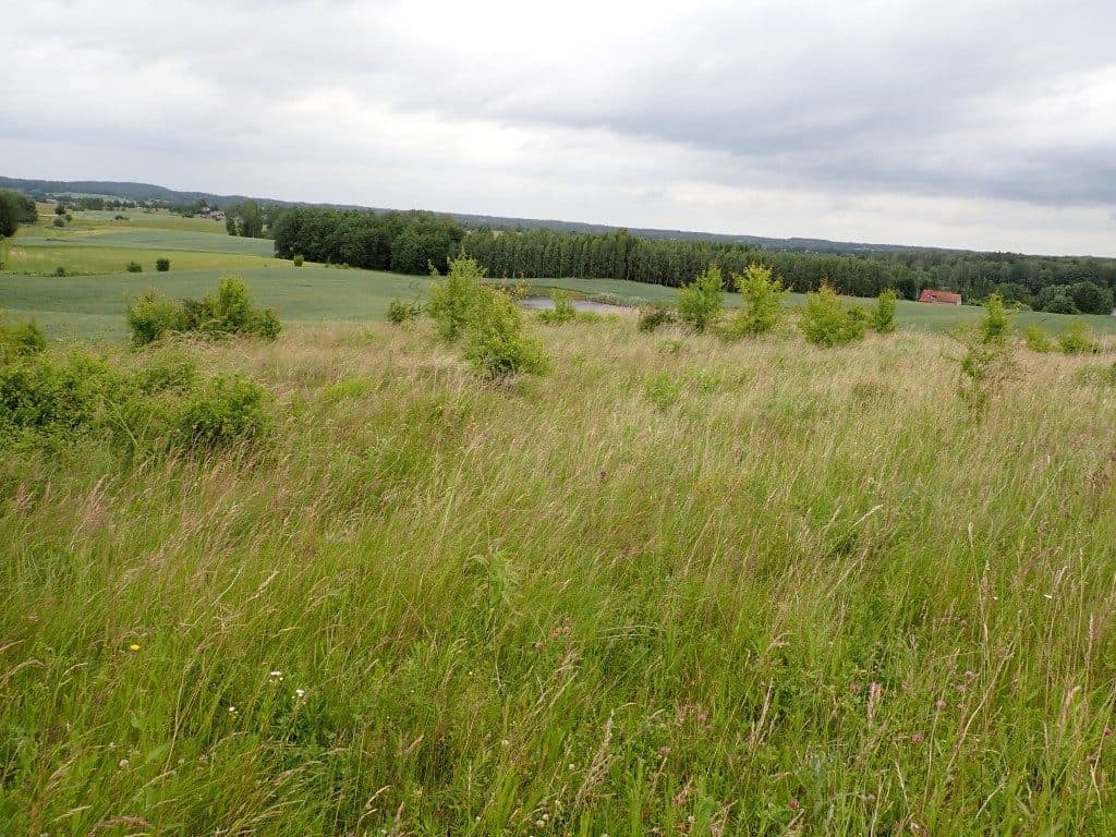Działka niezabudowana nr 469/9 o pow. 22,39 ha ze złożami piasku i żwiru w Tątławkach, gm. Morąg - KWEL2O/00022222/2 – zdjęcie 8 z 16