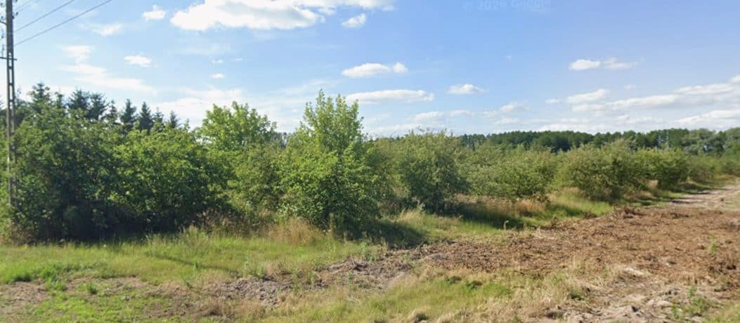 działka 611 (101306_2.0018,611) o pow. 1,31 ha, niezabudowana, z dostępem do drogi publicznej – zdjęcie 3 z 4