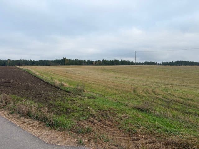 Rolna o pow. 1,7534 ha ( niezabudowana) Stara Kamionka, Bakałarzewo. – zdjęcie 2 z 4