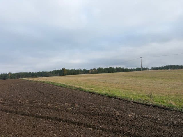 Niezabudowana, dz. nr 40/15 o pow. 0,1497 ha, Stara Kamionka, Bakałarzewo. – zdjęcie 2 z 13