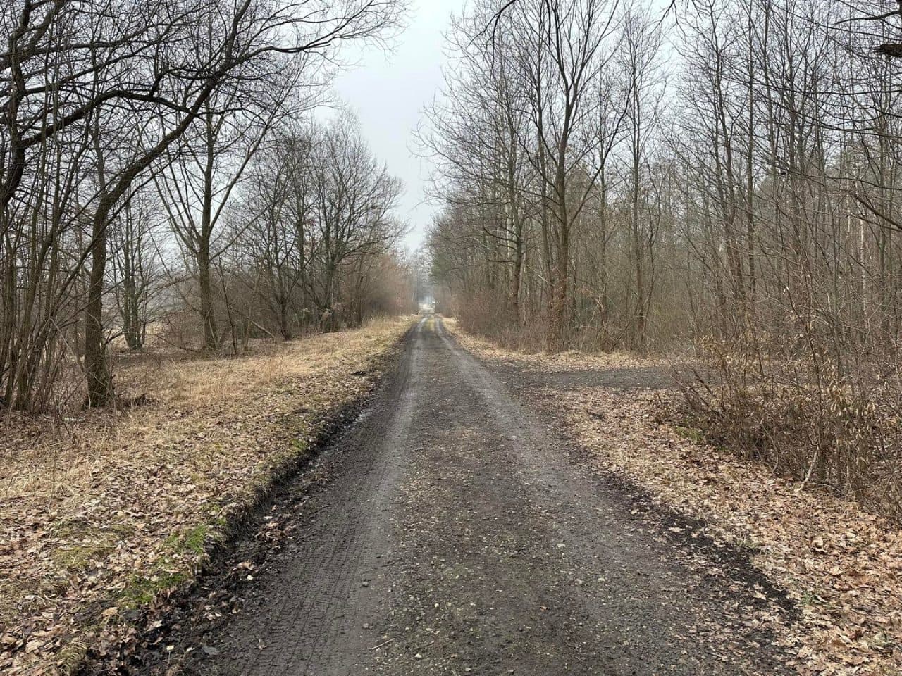 nieruchomość gruntowa, niezabudowana – zdjęcie 3 z 6