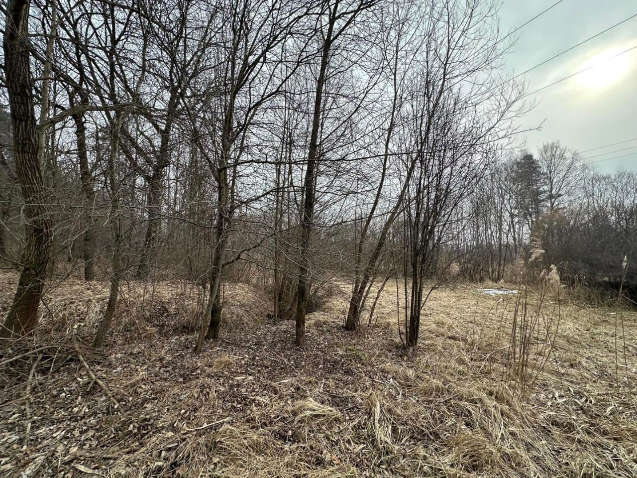 nieruchomość gruntowa, niezabudowana – zdjęcie 4 z 6